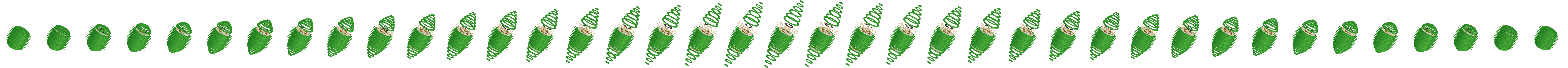 Graviola